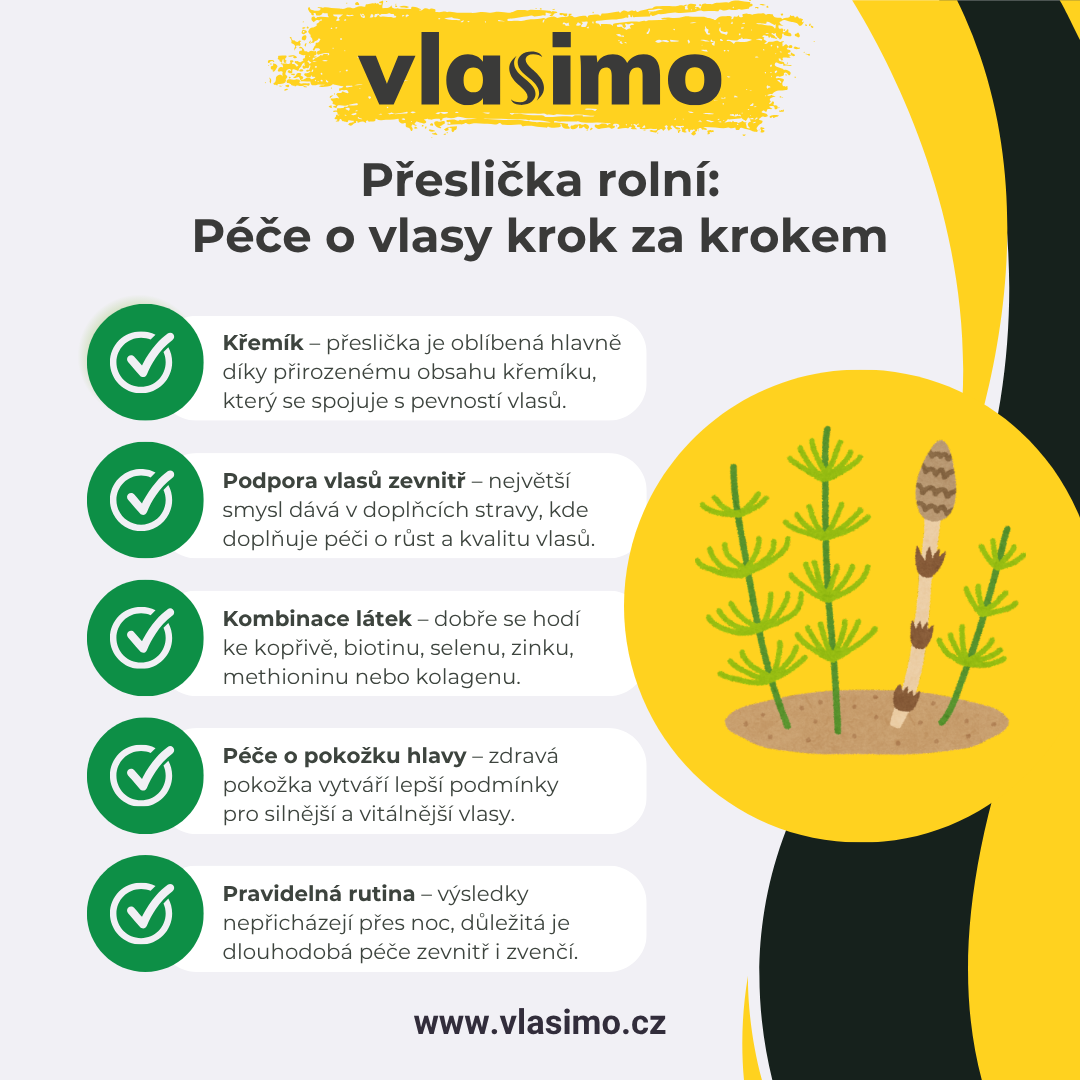 Infografika: Přeslička rolní v péči o vlasy krok za krokem