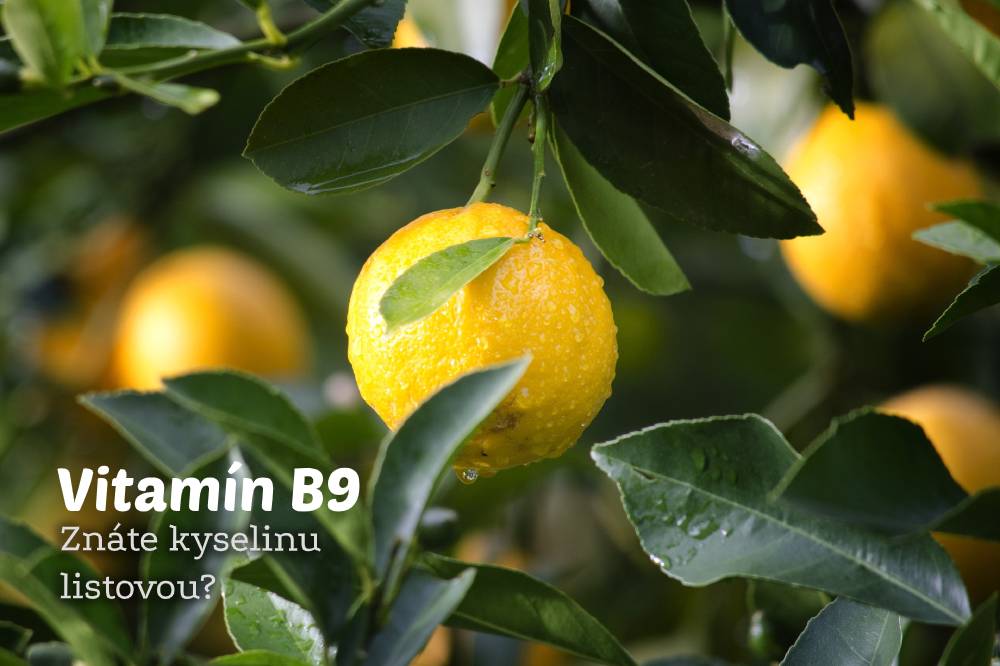 Vitamín B9 Zázračný elixír pro růst vašich vlasů VLASIMO®