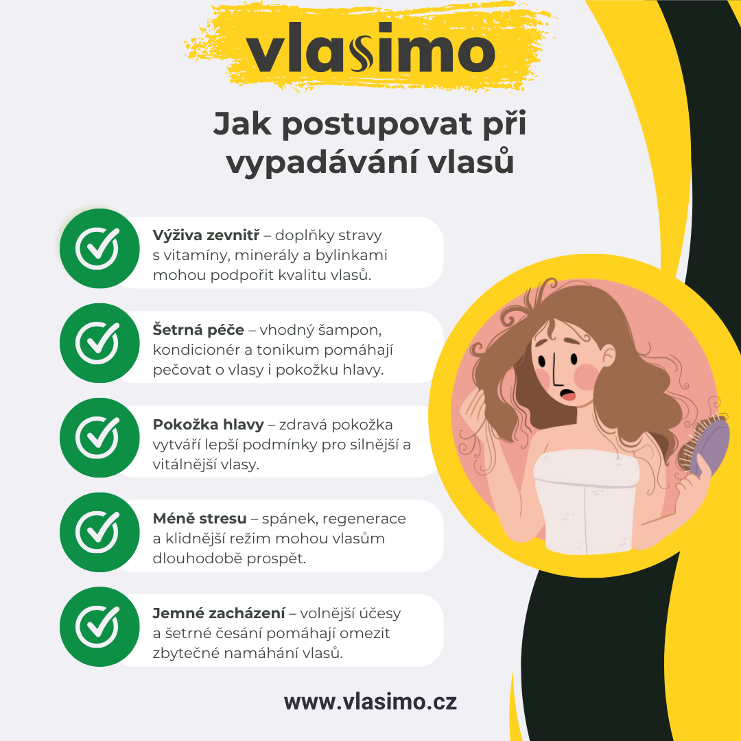 Infografika: Vypadávání vlasů krok za krokem